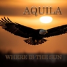 Слушать Aquila - I Run (Alternative music 2024)