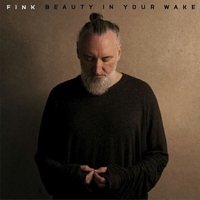 Cлушать Fink - Beauty In Your Wake