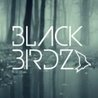 Слушать Black Birdz - Sometimes (Original Mix) (Своё fm 2020)